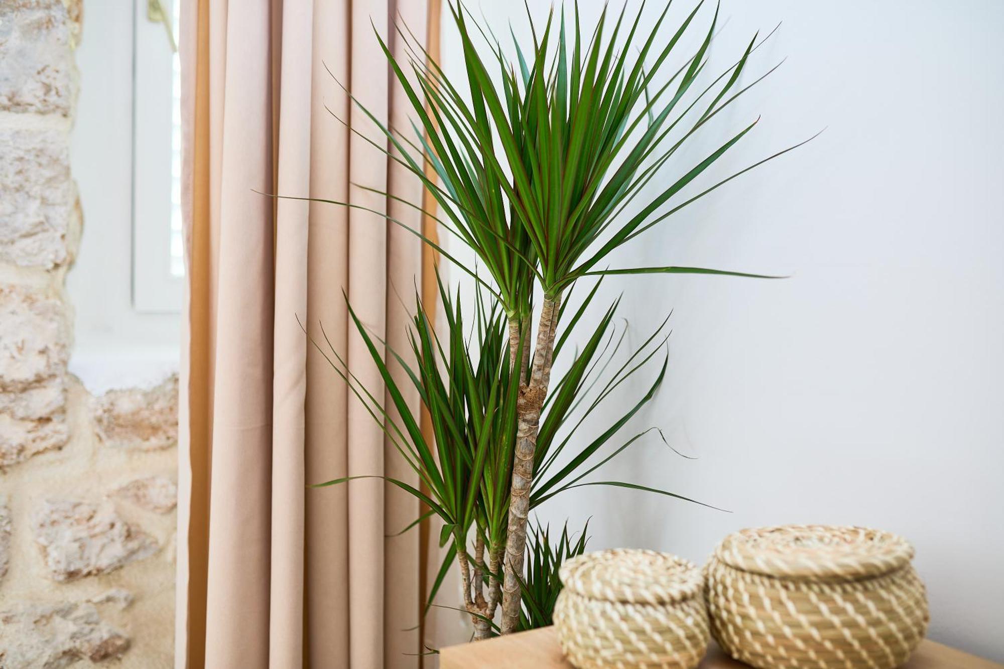 Apartment Iza Grada Dubrovnik Luaran gambar